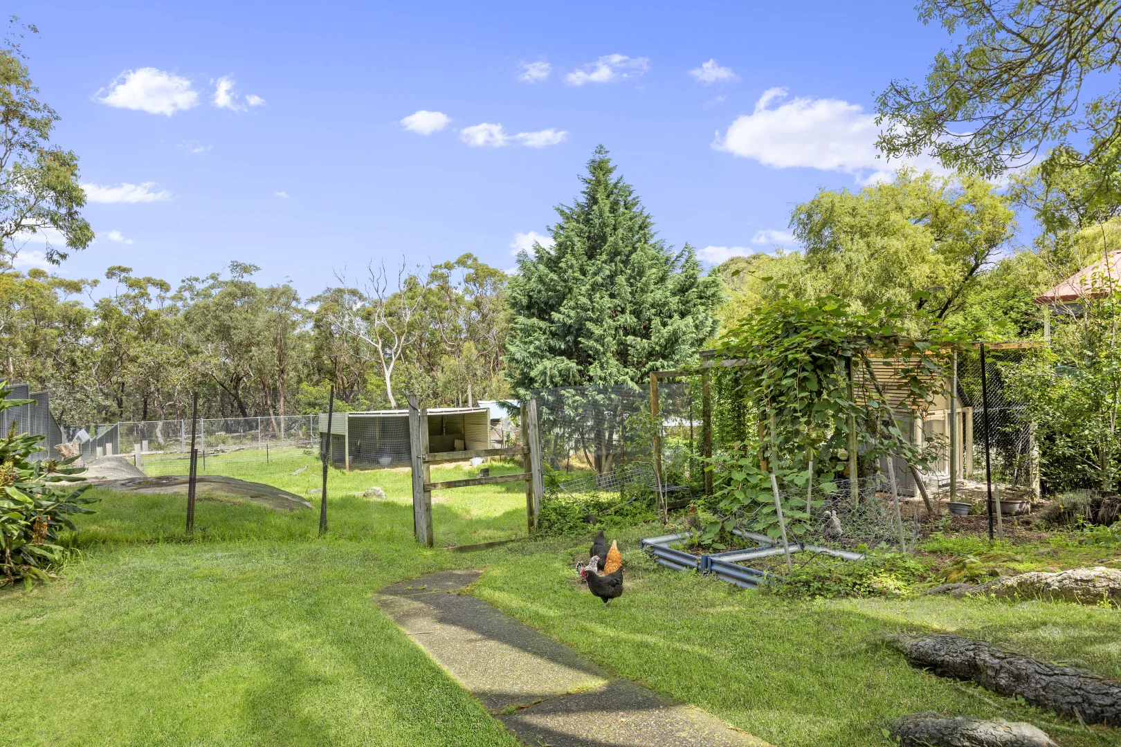 Additional image 13 of 8 Grant Street, Woodford NSW 2778