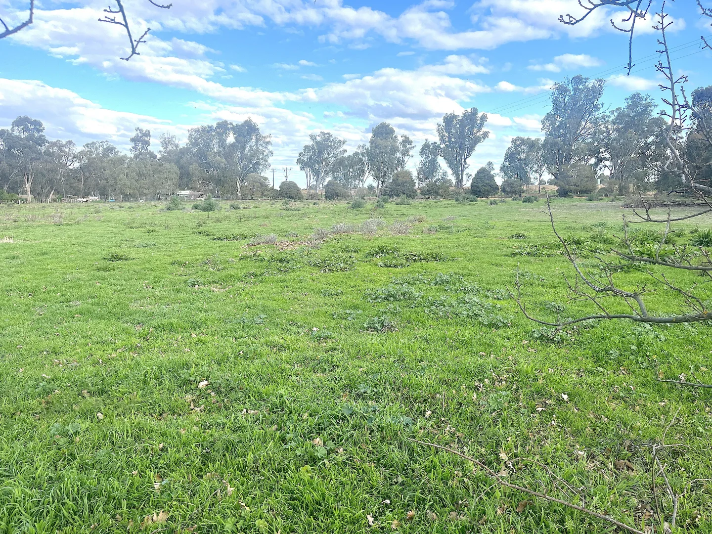 Additional image 18 of 47 Harris Road, Cobram VIC 3644