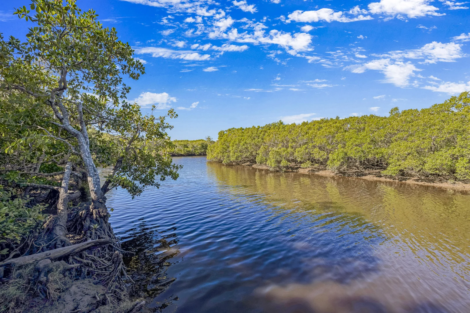 Additional image 27 of 717 Coonarr Road, Coonarr QLD 4670