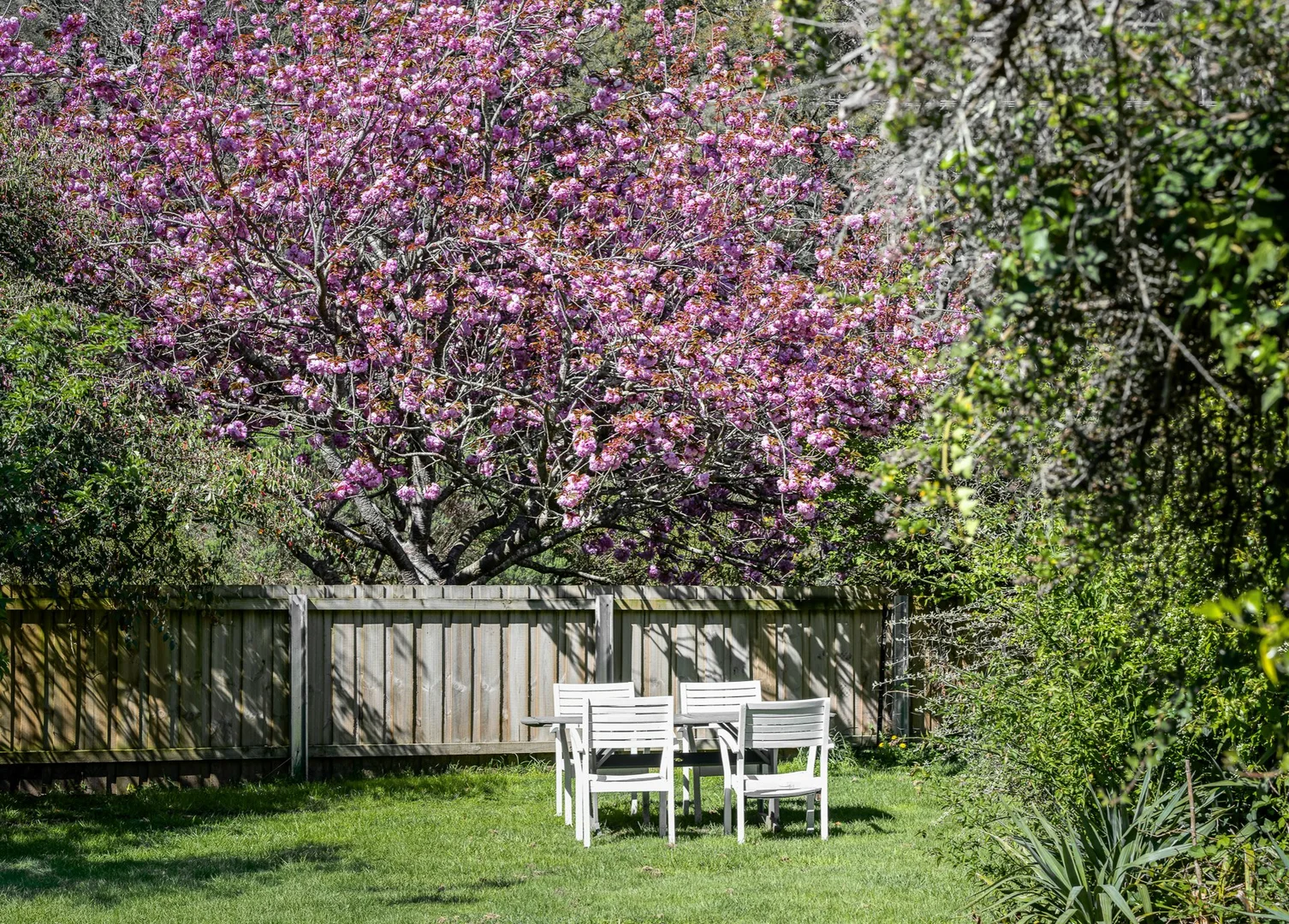 Additional image 30 of 4 Franks Street, St Marys TAS 7215