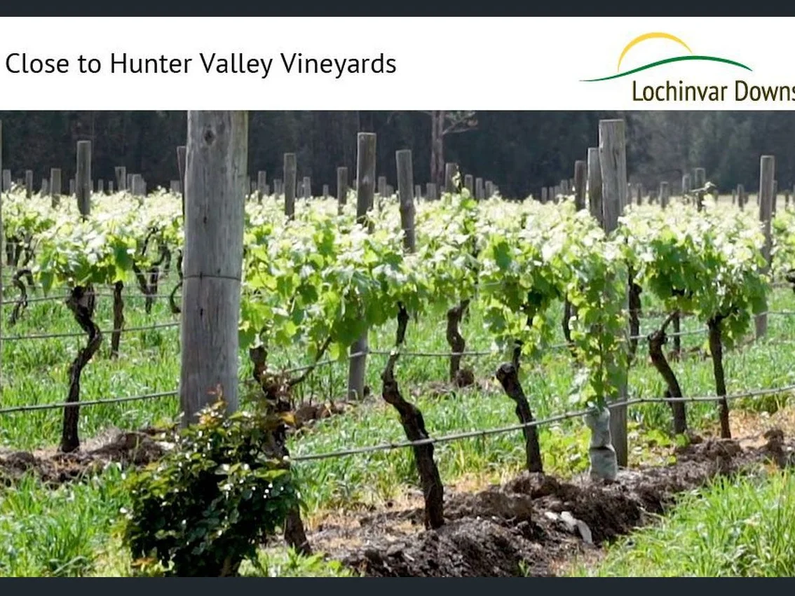 Additional image 11 of Lot 616/26 Linden Street, Lochinvar NSW 2321