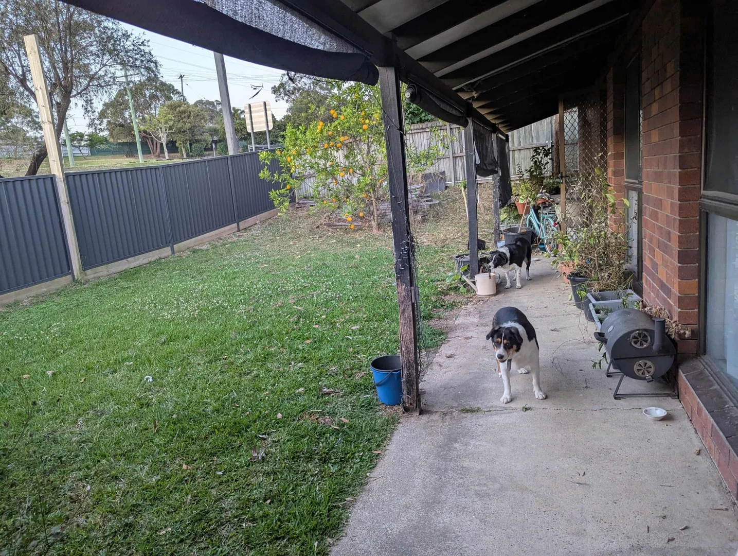 Additional image 11 of 562 Nerang Road, Ashmore QLD 4214