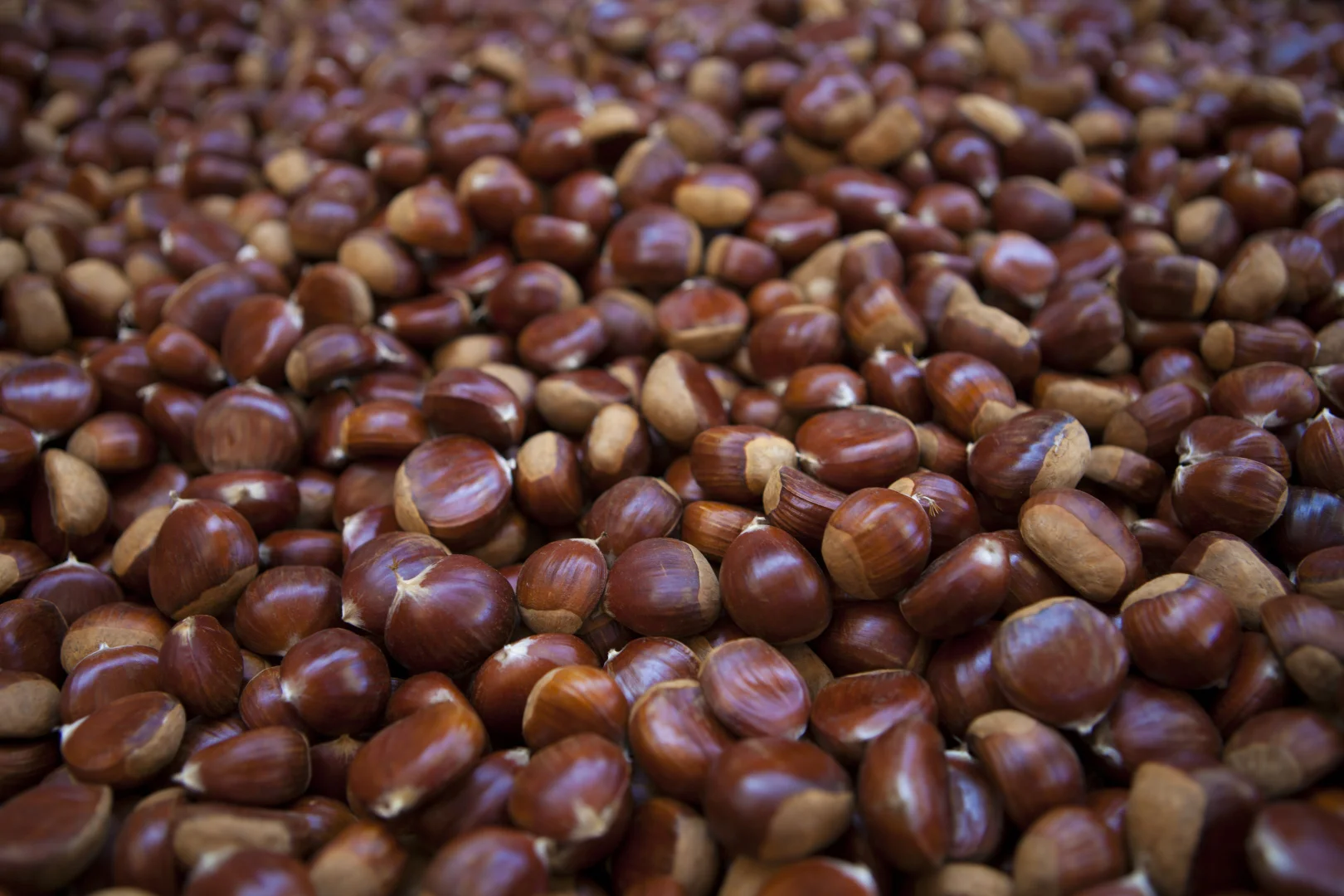 Additional image 41 of 192 Myrtleford-Stanley Road, Stanley VIC 3747