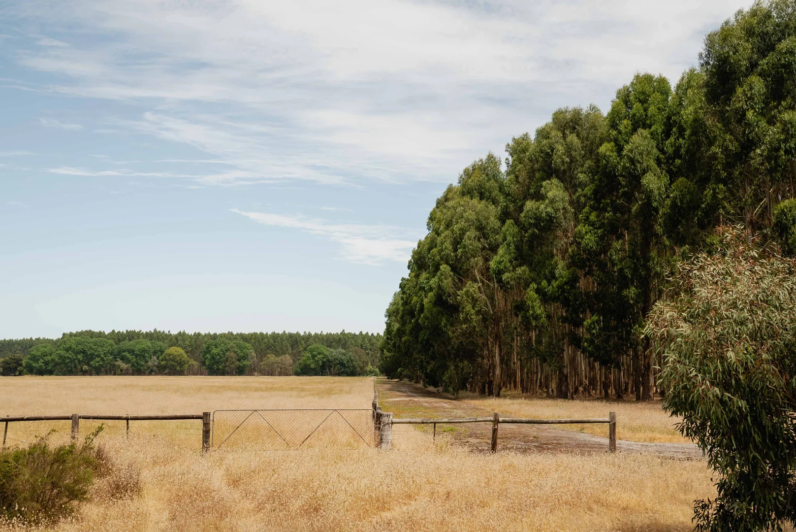 Additional image 7 of Wattle Range SA 5280