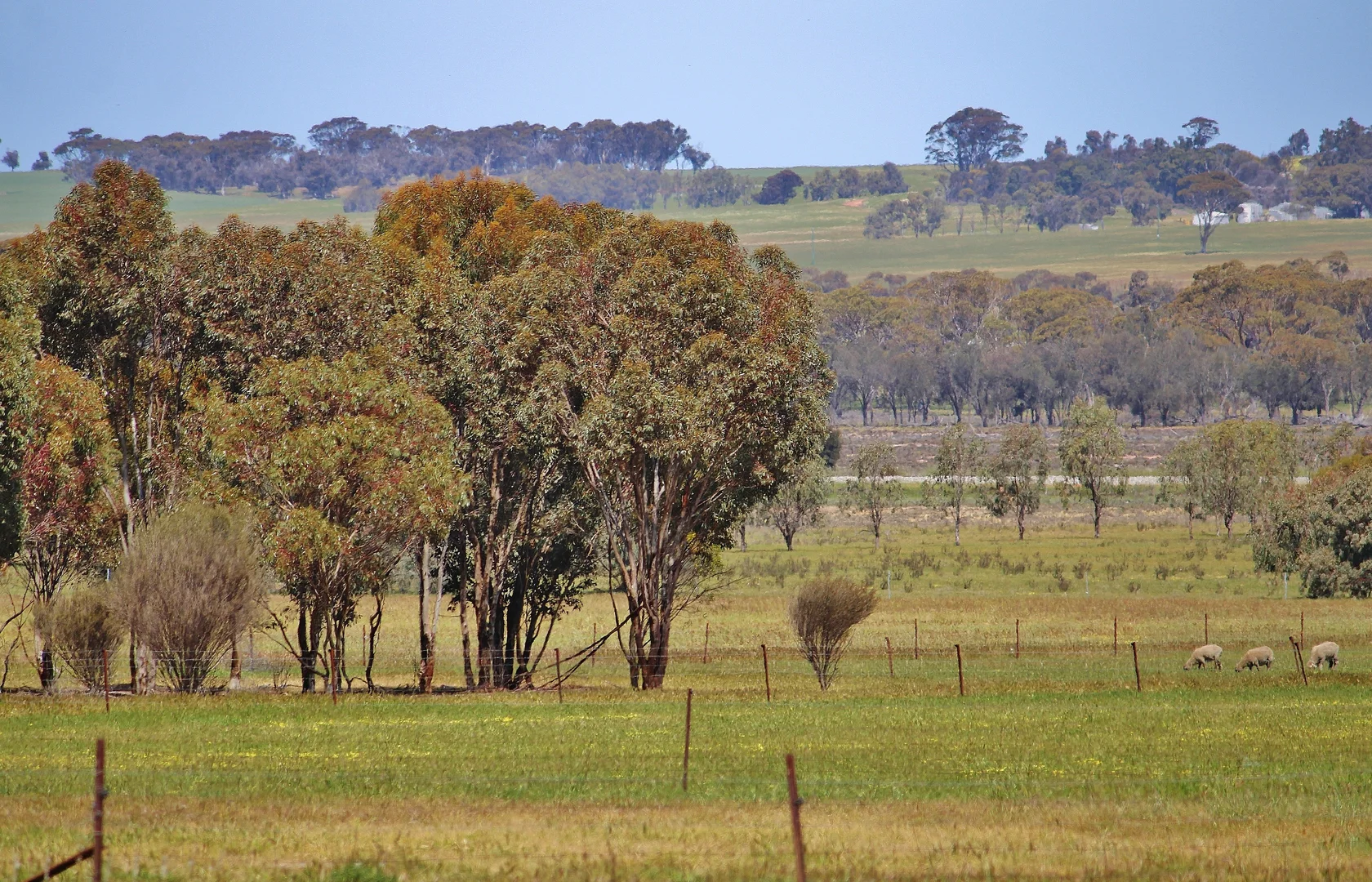 Additional image 21 of 256 WAGIN-DUMBLEYUNG ROAD, Wagin WA 6315