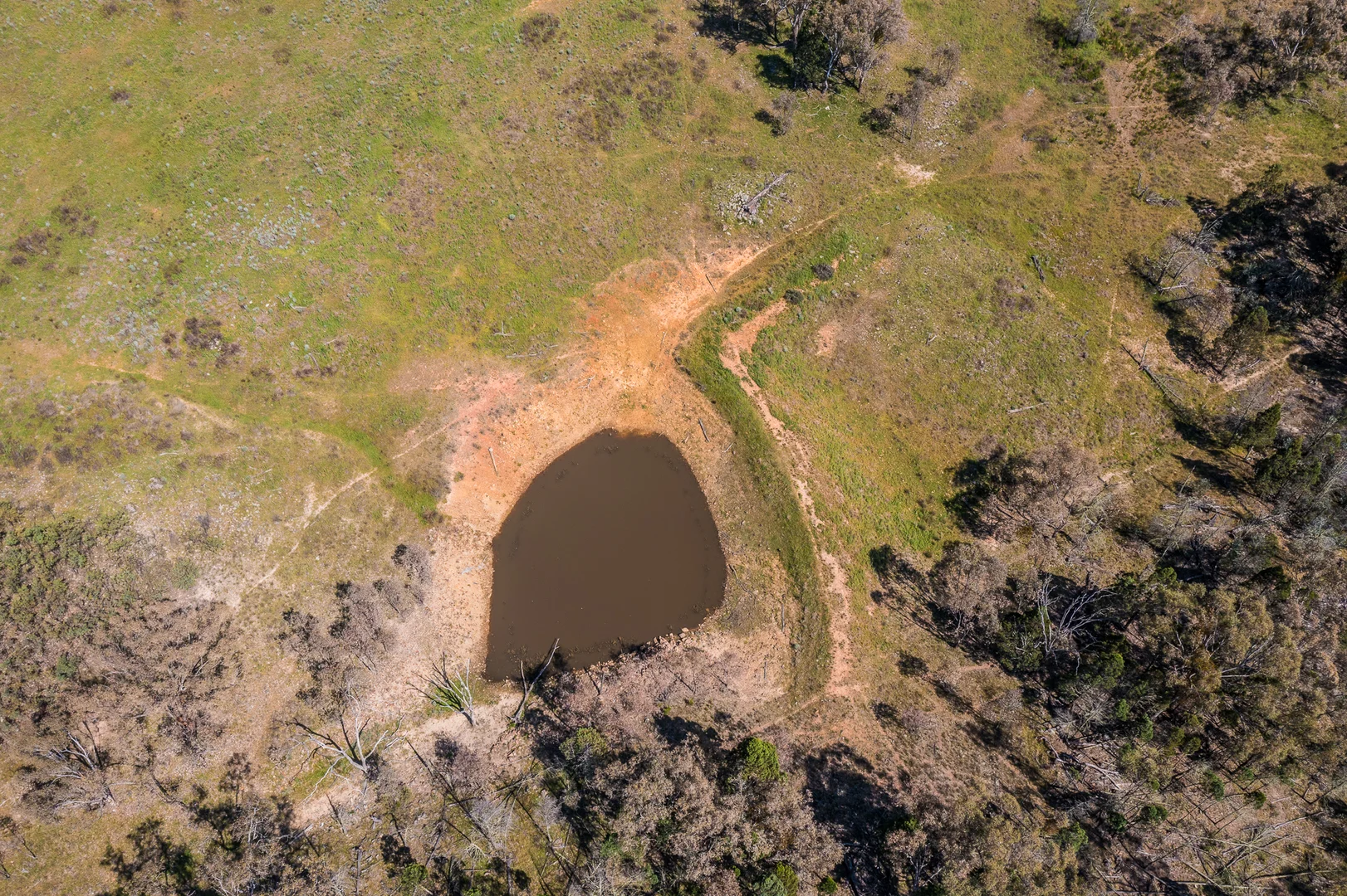 Additional image 9 of 4194 Twelve Mile Road, Gulgong NSW 2852