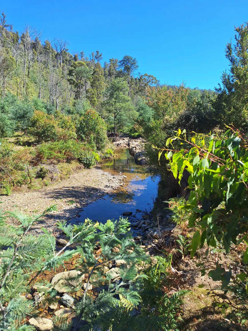 Additional image 10 of 141 Young Street, Mangana TAS 7214