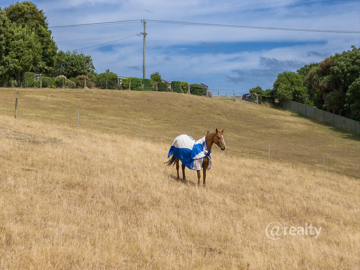 Additional image 23 of 1171 Ridgley Highway, Ridgley TAS 7321