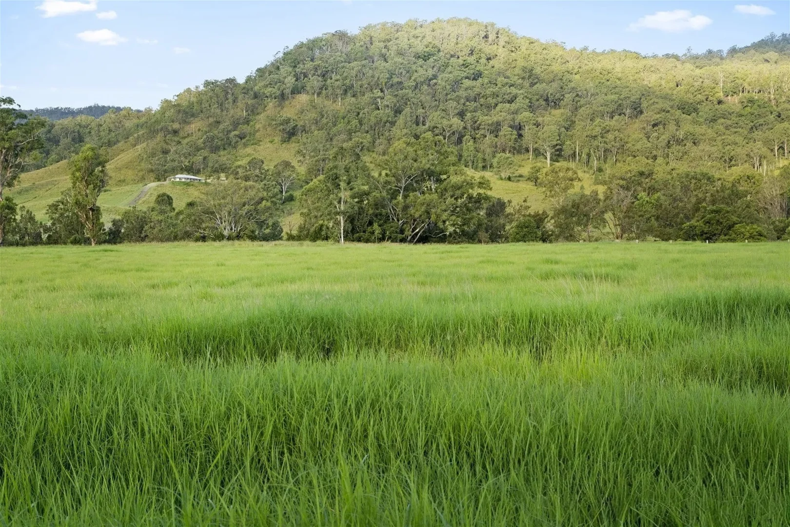 Additional image 22 of 611 Biddaddaba Creek Road, Biddaddaba QLD 4275