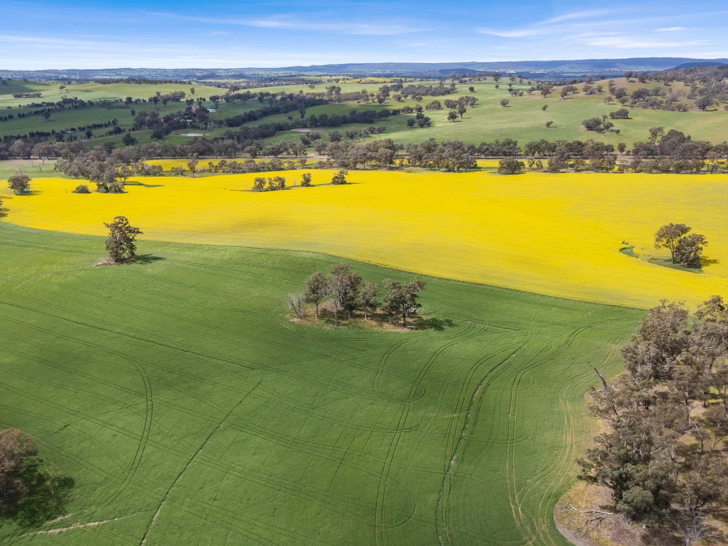 Additional image 35 of 2056 Benalla-Yarrawona Road, Bungeet West VIC 3726