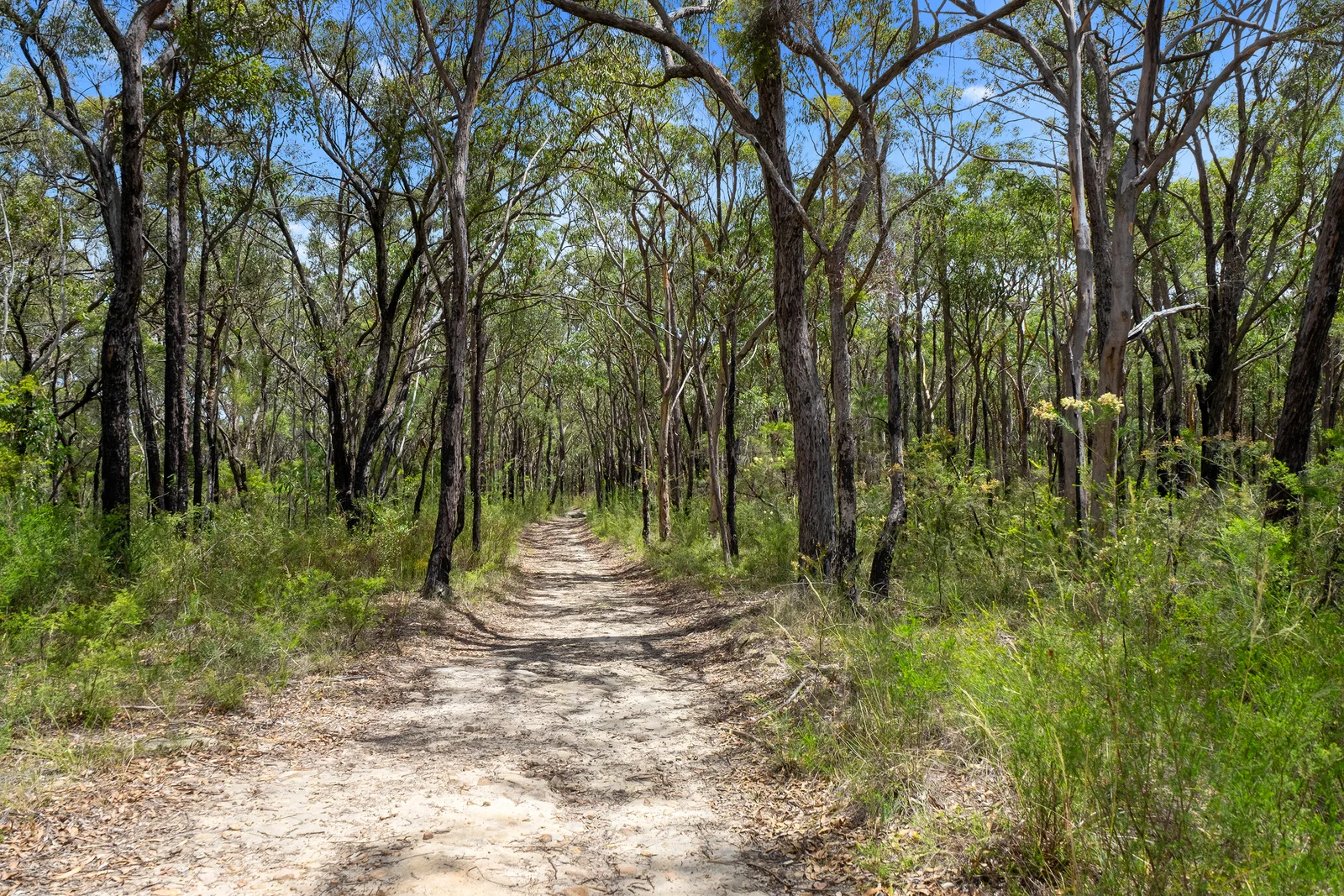 Additional image 6 of 3472 Old Northern Road, Glenorie NSW 2157