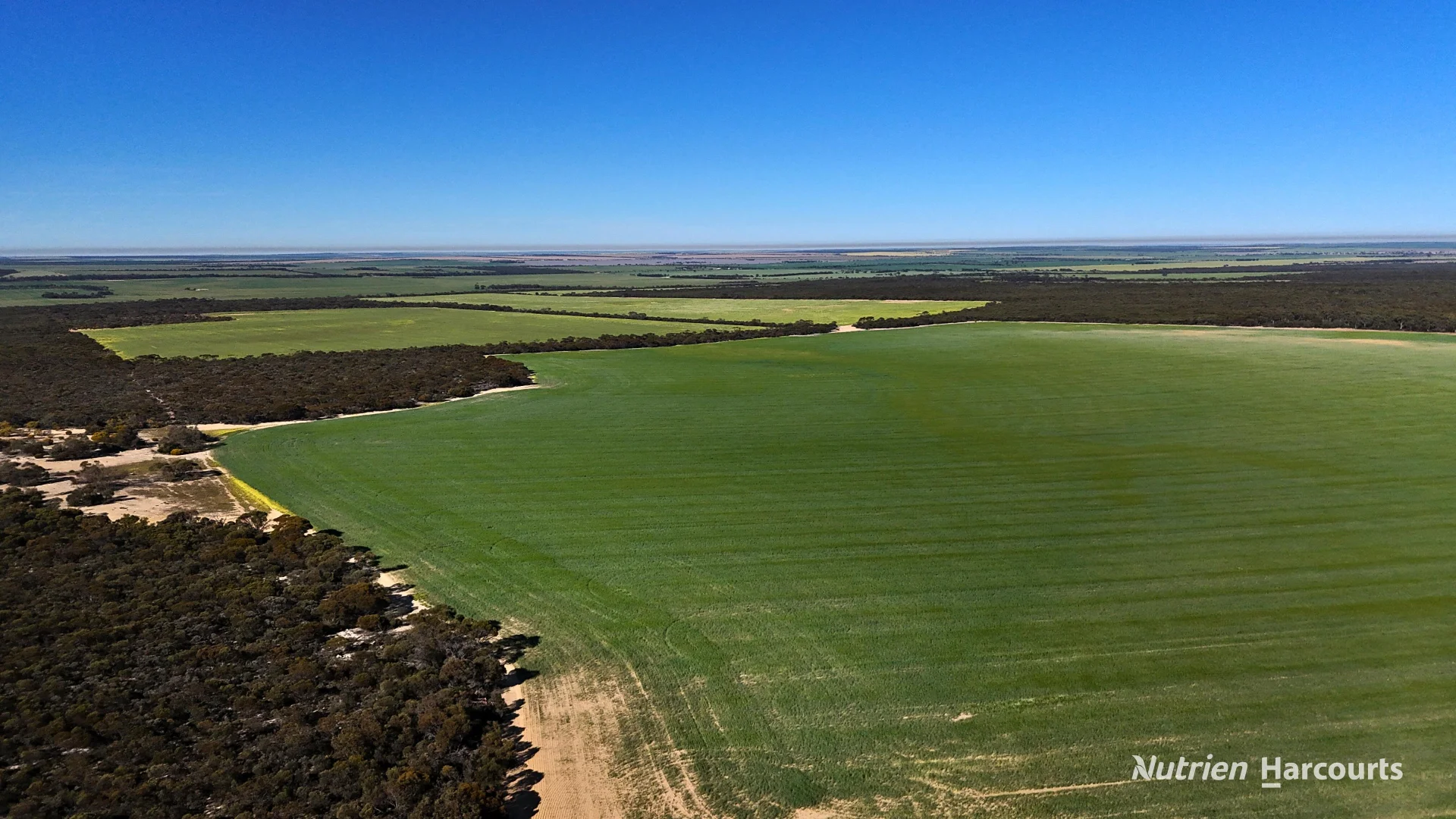 Additional image 5 of 1650 Dulyalbin Road, South Bodallin WA 6424