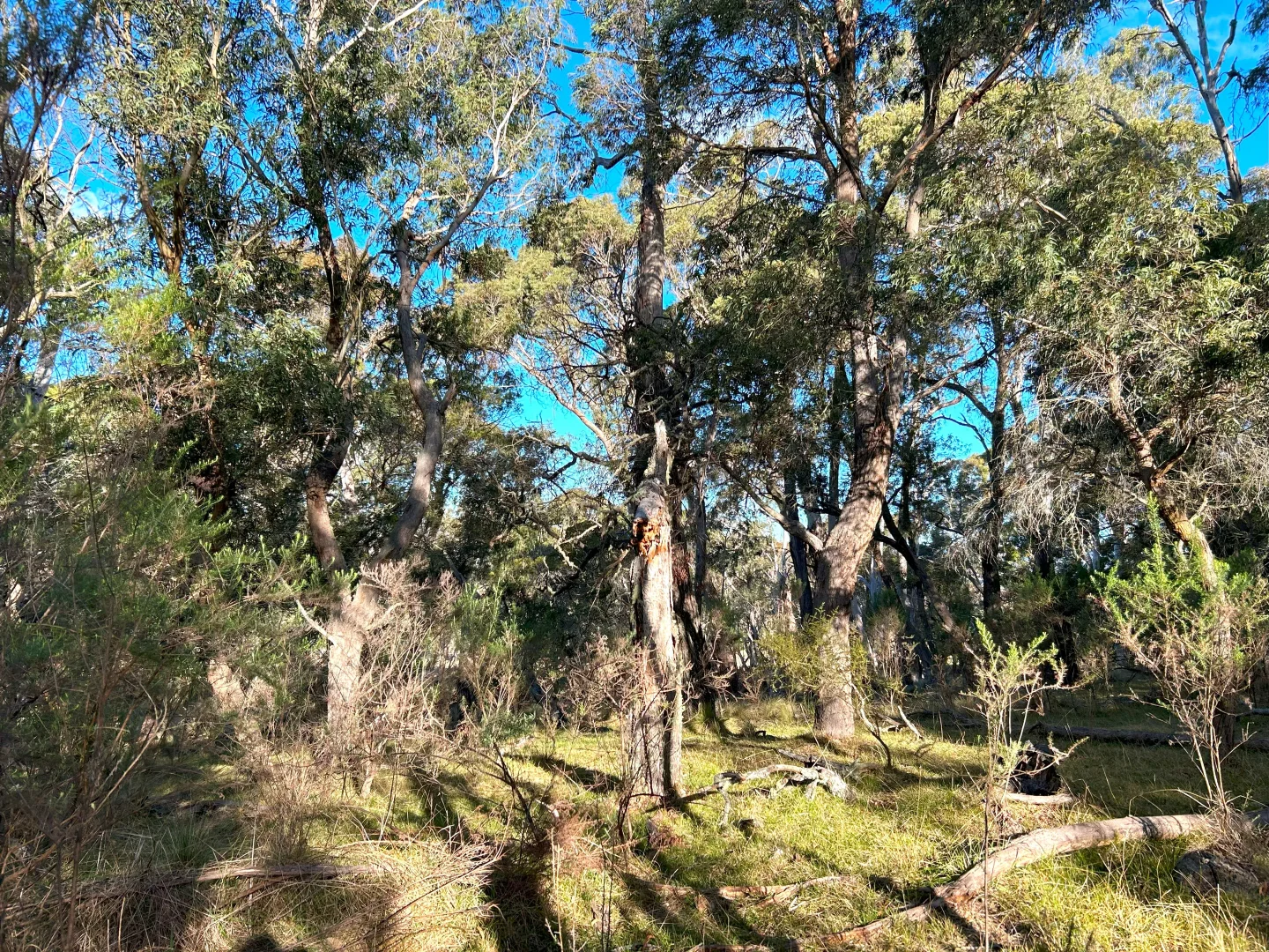 Additional image 16 of 11 & 128 Stoney Ridge Road, Braidwood NSW 2622