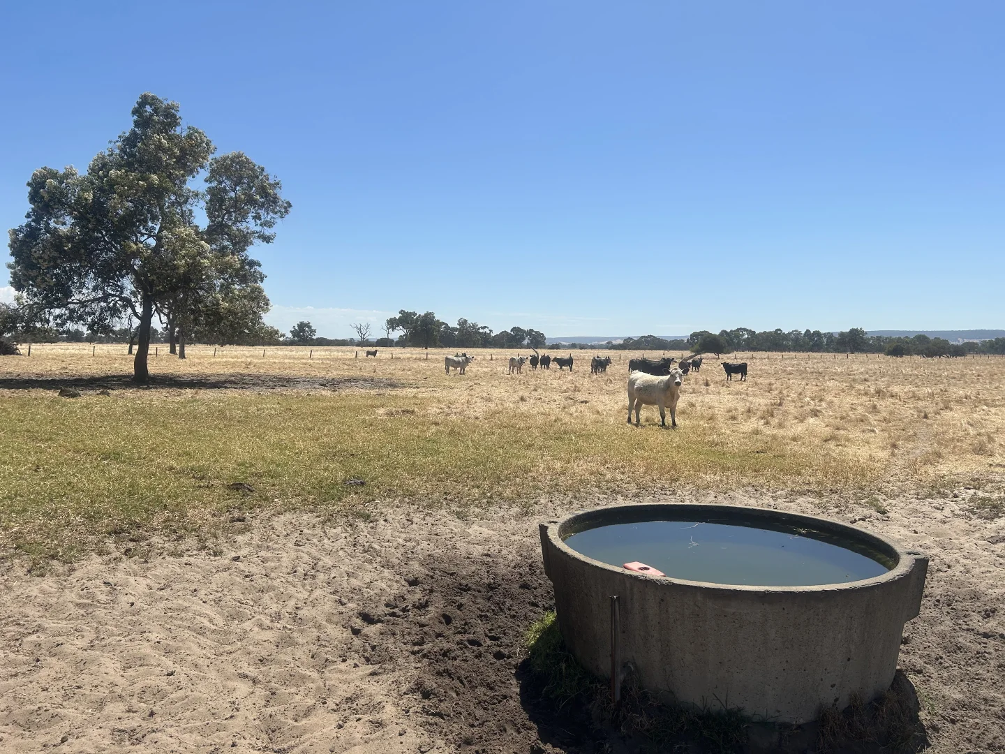 Additional image 6 of Lot 9 Coronation Road, Waroona WA 6215