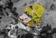 Additional image 39 of Canny Hill, windermere LA12