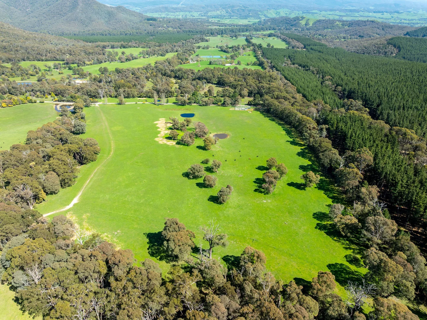 Additional image 28 of 682 Cathedral Lane, Taggerty VIC 3714