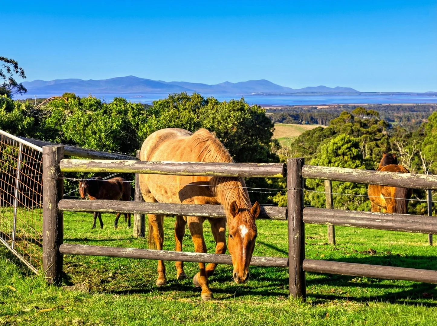 Additional image 2 of 40 Oram Road, Foster VIC 3960