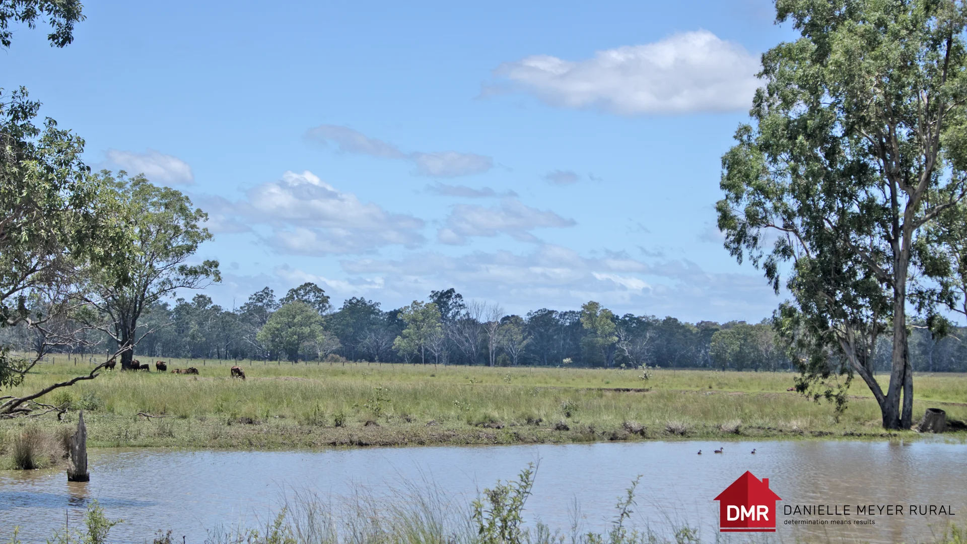 Additional image 23 of 8 Screening Plant Road, Cynthia QLD 4627