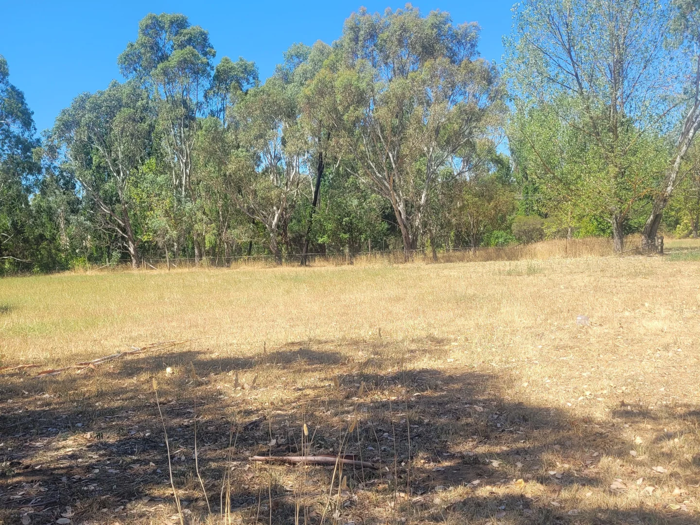 Additional image 4 of 5 Rowe Street, Mansfield VIC 3722