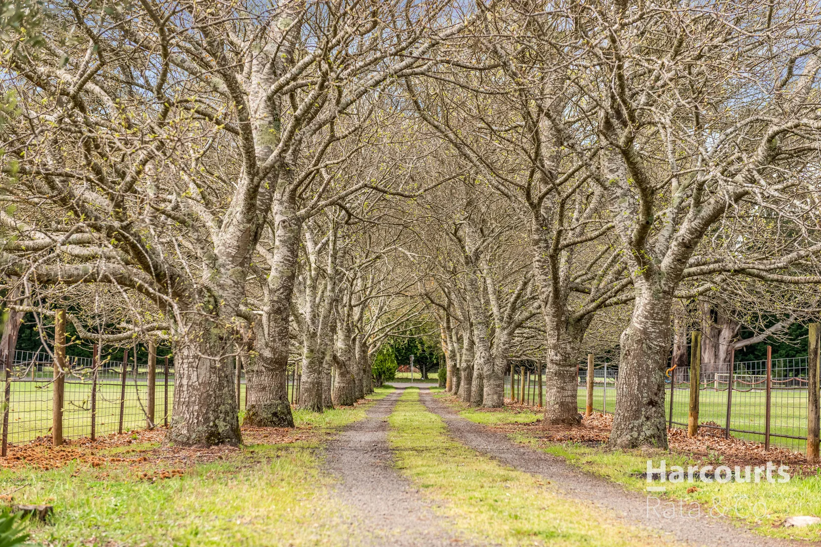 Additional image 6 of 1459 Daylesford-Trentham Road, Lyonville VIC 3461