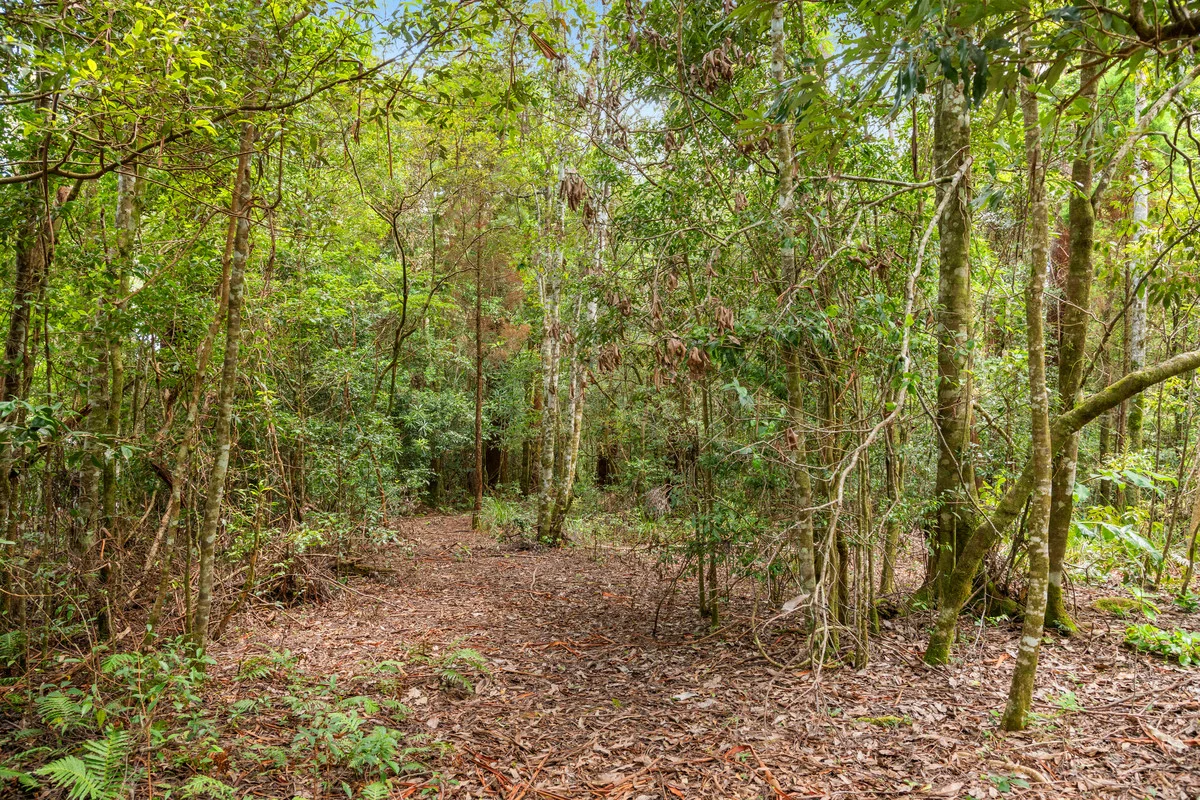 Additional image 5 of 5 Banksia Road, Springbrook QLD 4213