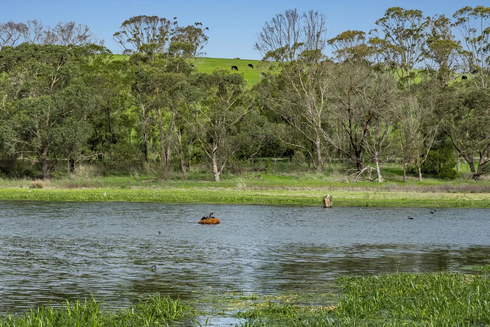 Additional image 7 of 60 Pennyroyal Valley Road, Deans Marsh VIC 3235