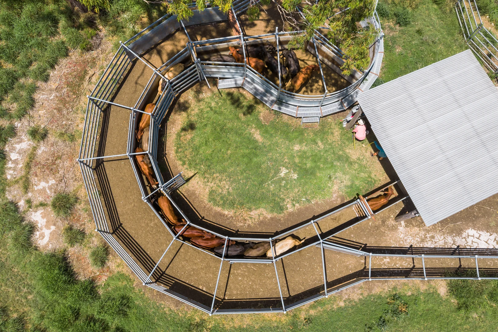 Additional image 26 of 'Ashby' 48 Felton View Road, Ellangowan QLD 4361