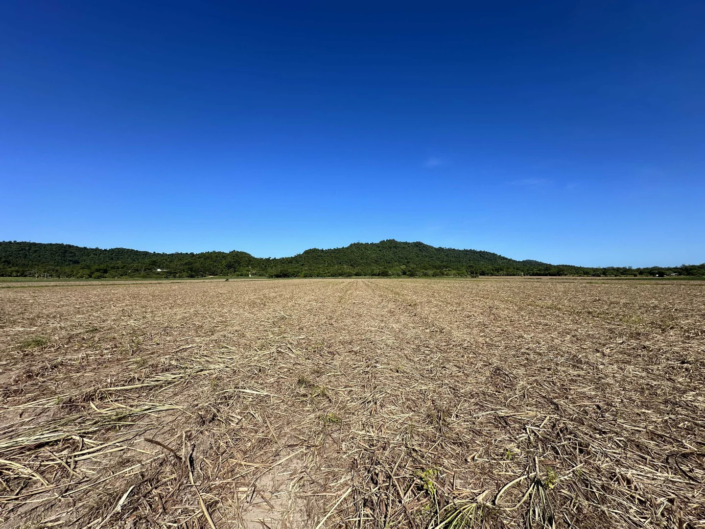 Additional image 3 of East Feluga QLD 4854