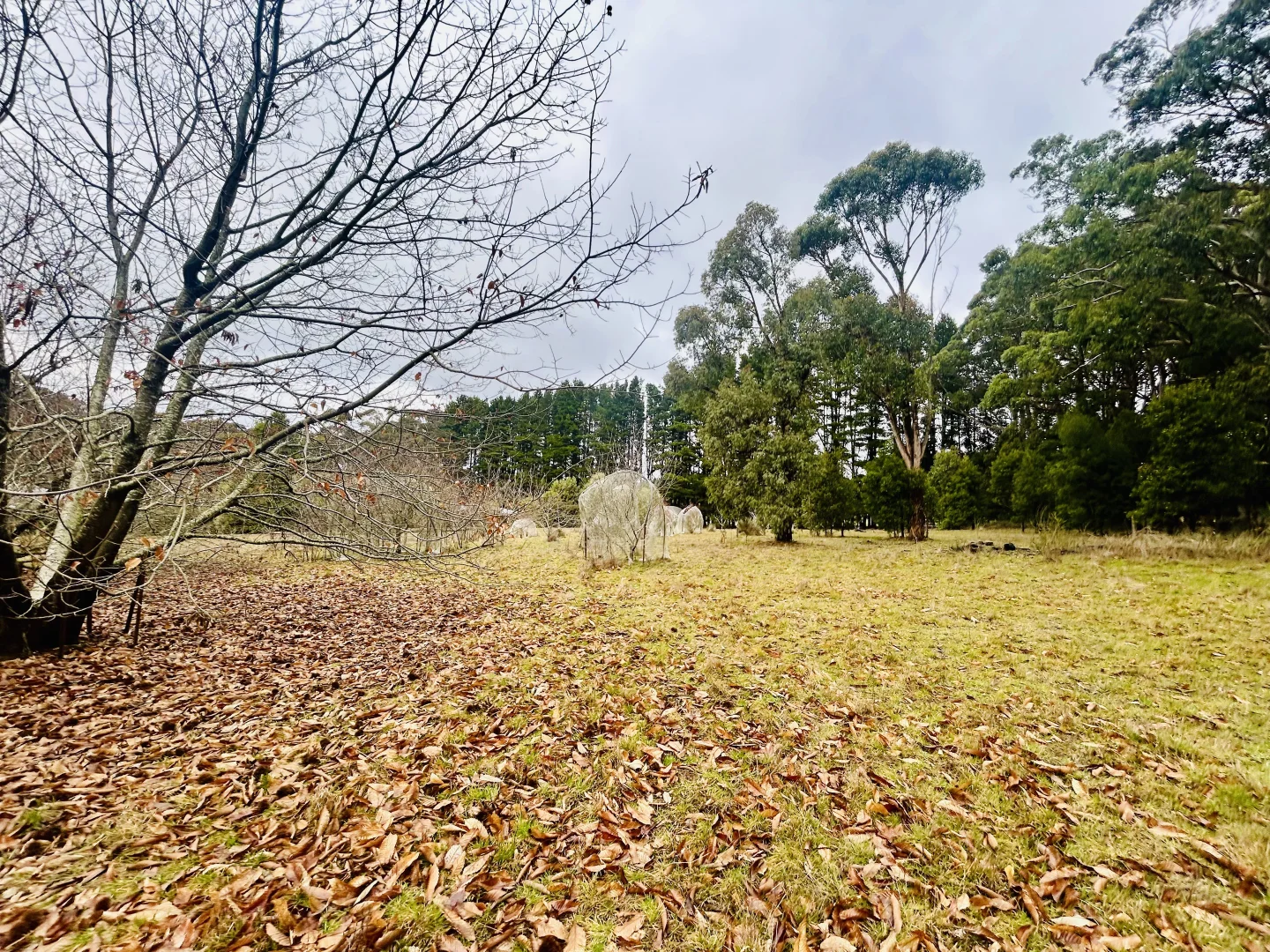 Additional image 20 of 85 Bluemount Road Trentham, Trentham VIC 3458