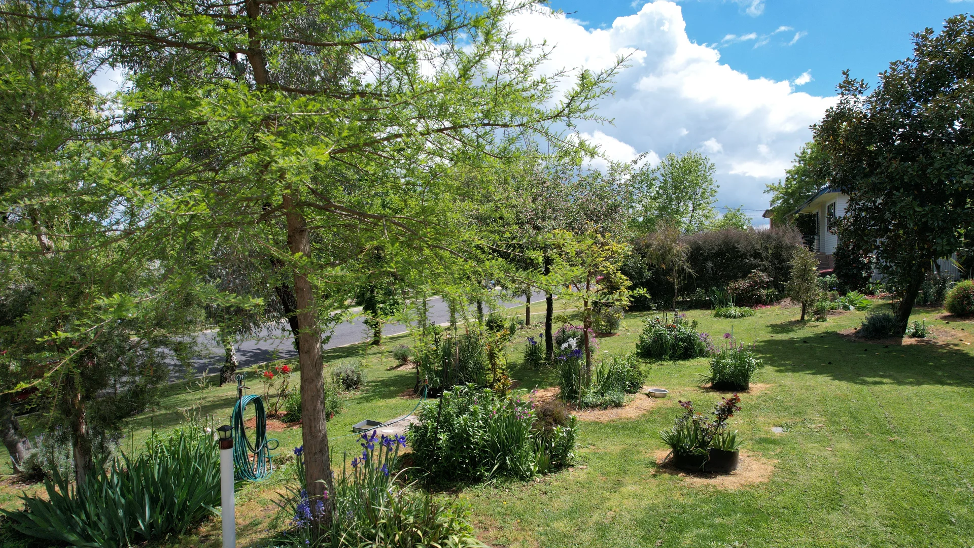 Additional image 13 of 74 King Street, Tumbarumba NSW 2653