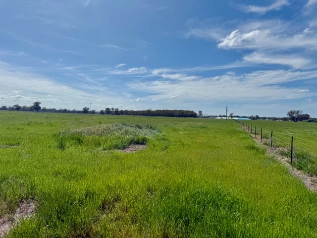 Additional image 5 of Lot 7/286 Whitehead Street, Corowa NSW 2646