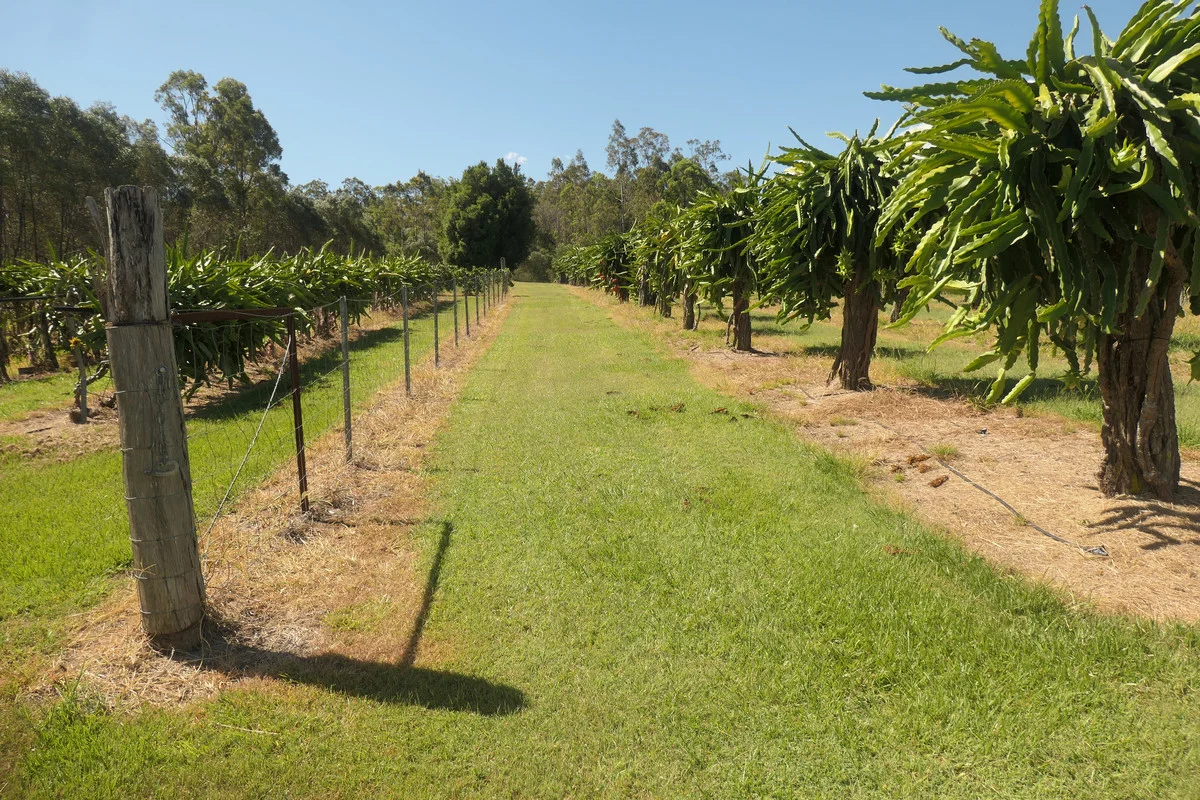 Additional image 21 of Bulldog NSW 2469