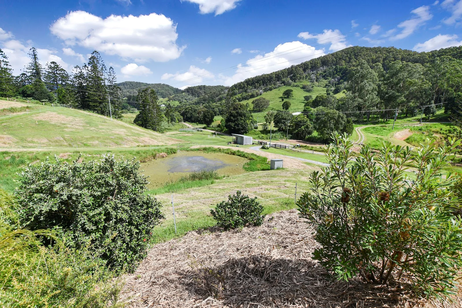 Additional image 25 of 364 Mullins Creek Road, Goomboorian QLD 4570