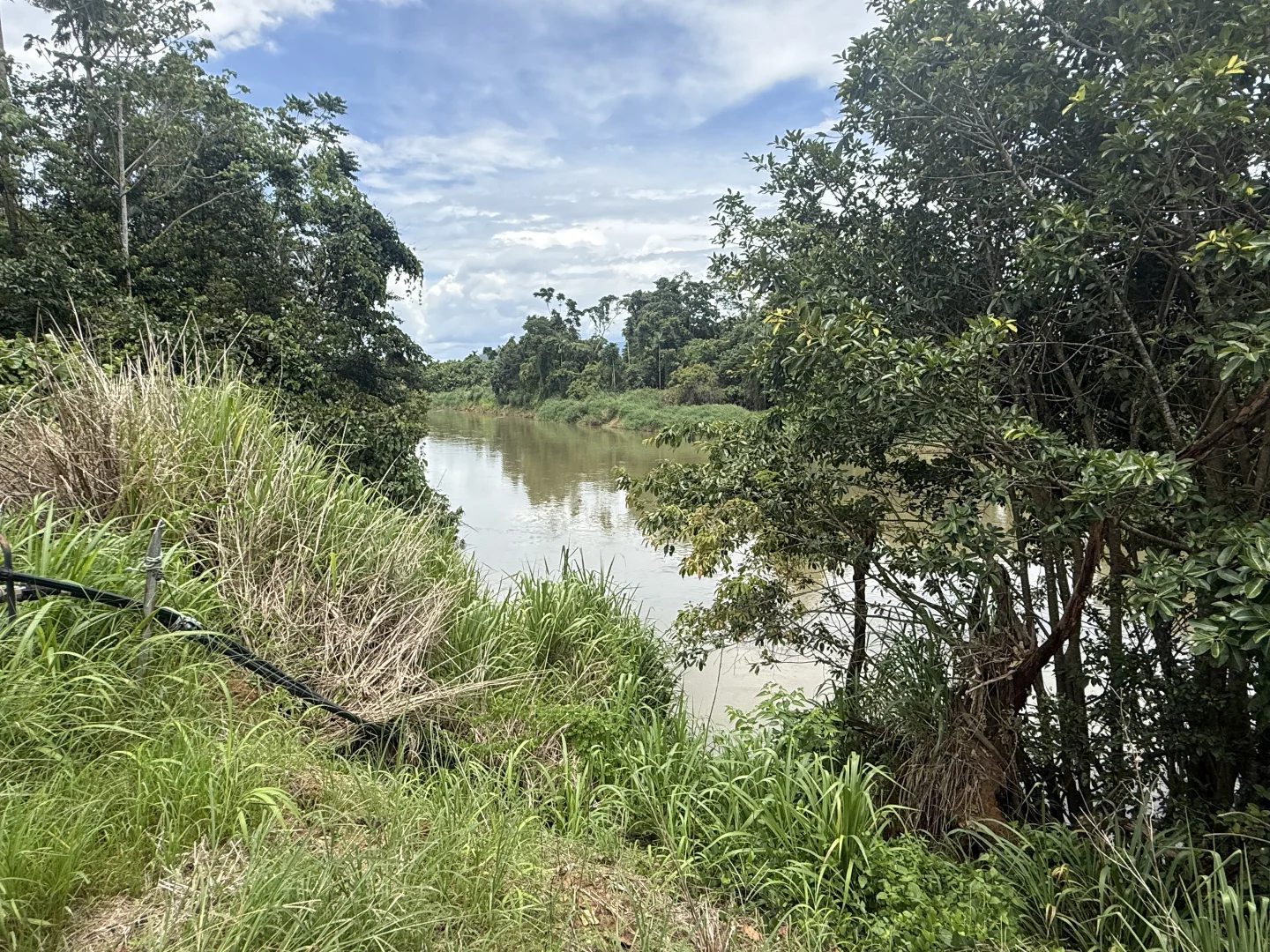 Additional image 6 of Munro Plains QLD 4854