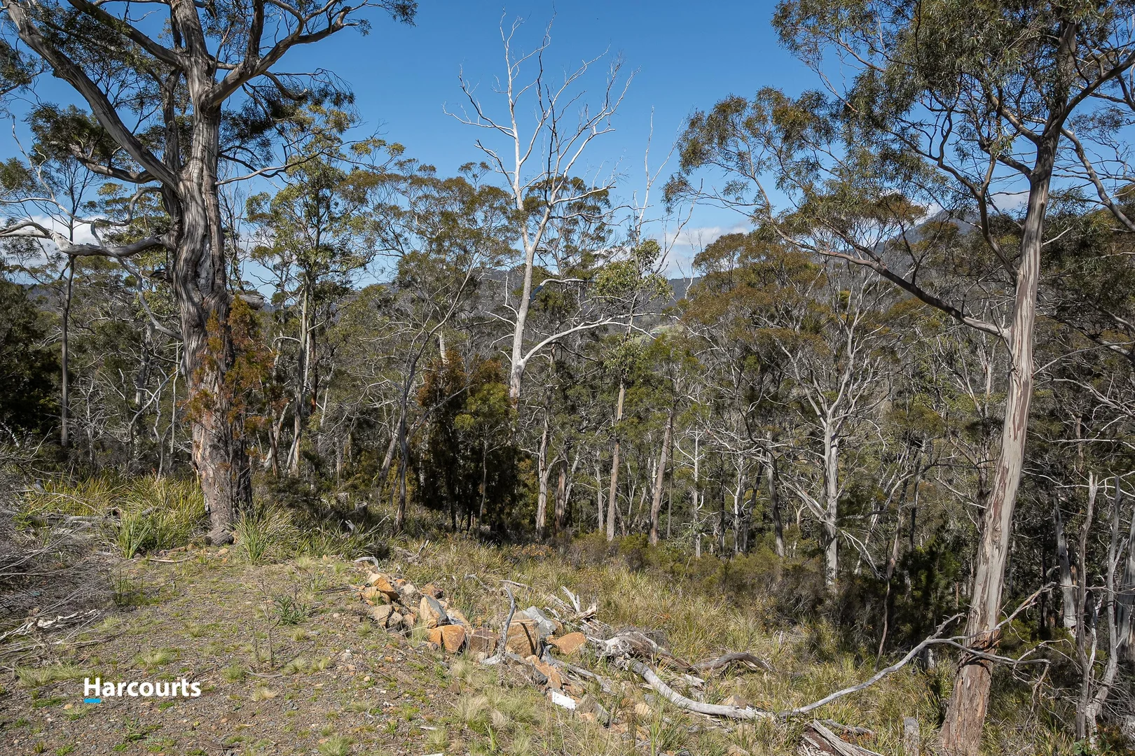 Additional image 14 of 54 Bull Oak Way, Grove TAS 7109