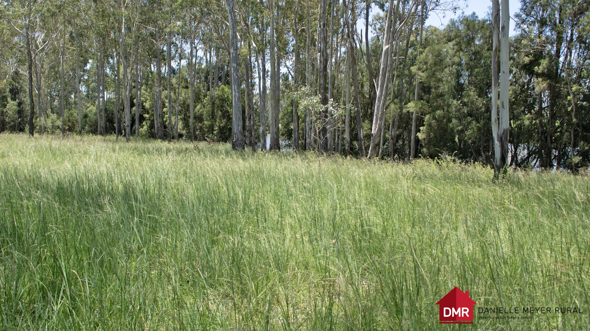 Additional image 44 of 8 Screening Plant Road, Cynthia QLD 4627