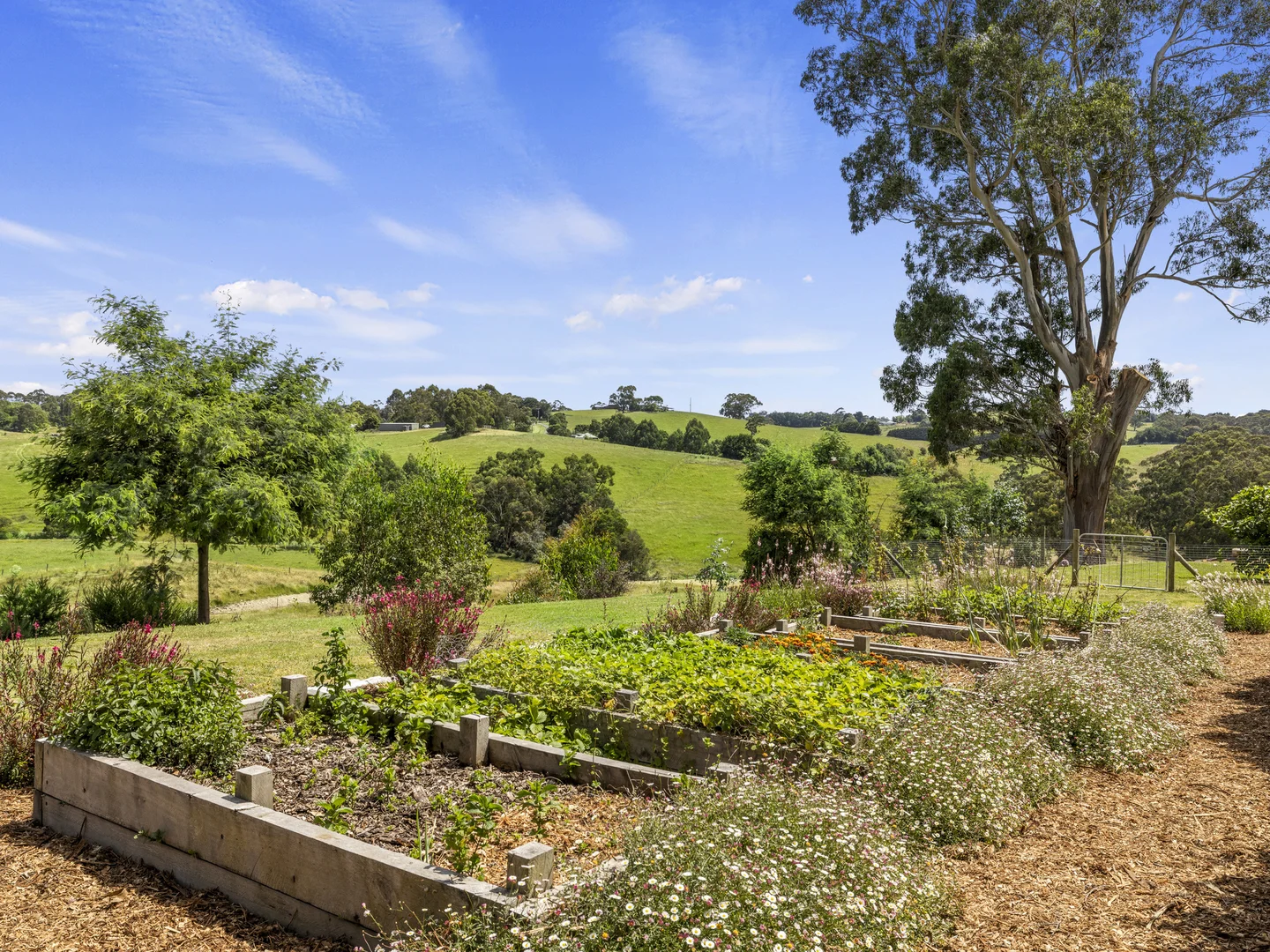 Additional image 18 of 8795 South Gippsland Highway, Korumburra VIC 3950