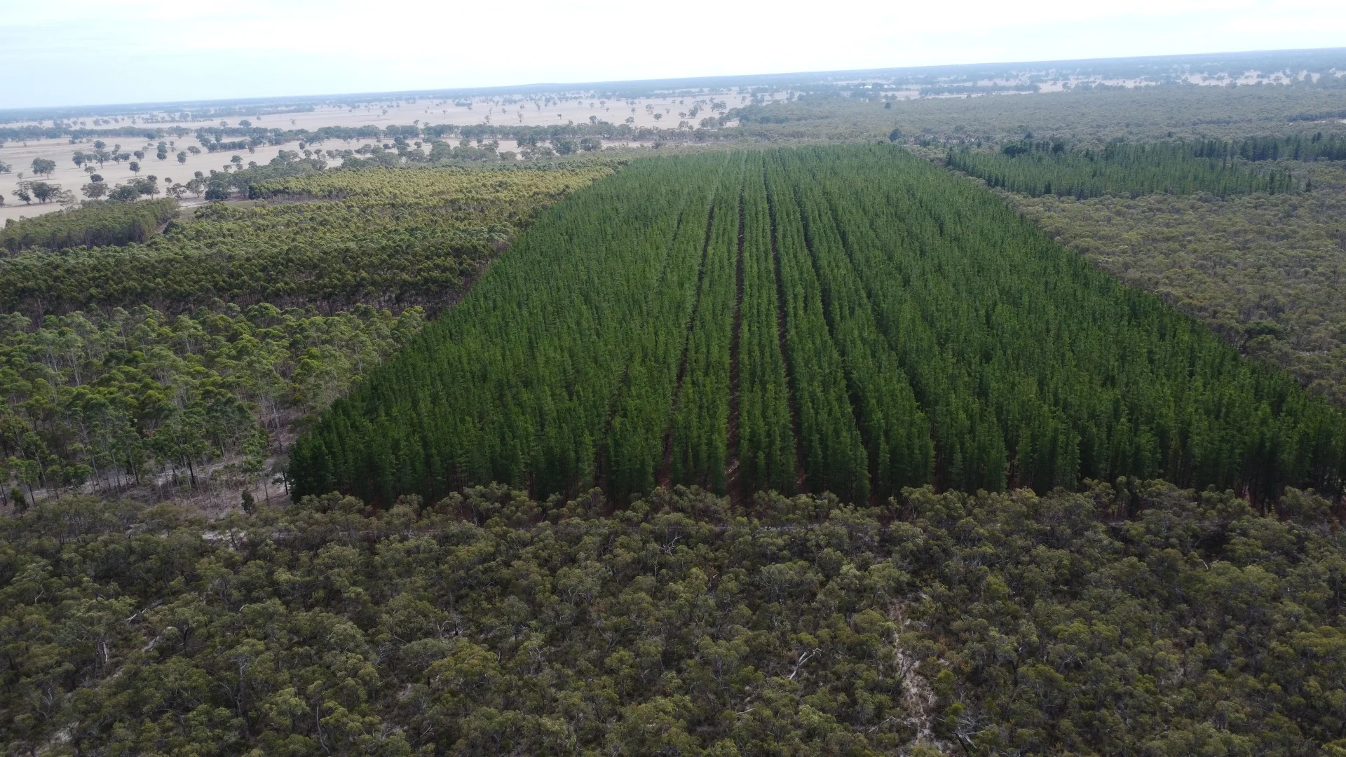 Additional image 4 of Lot 1 Jim Ryans Road, Edenhope VIC 3318