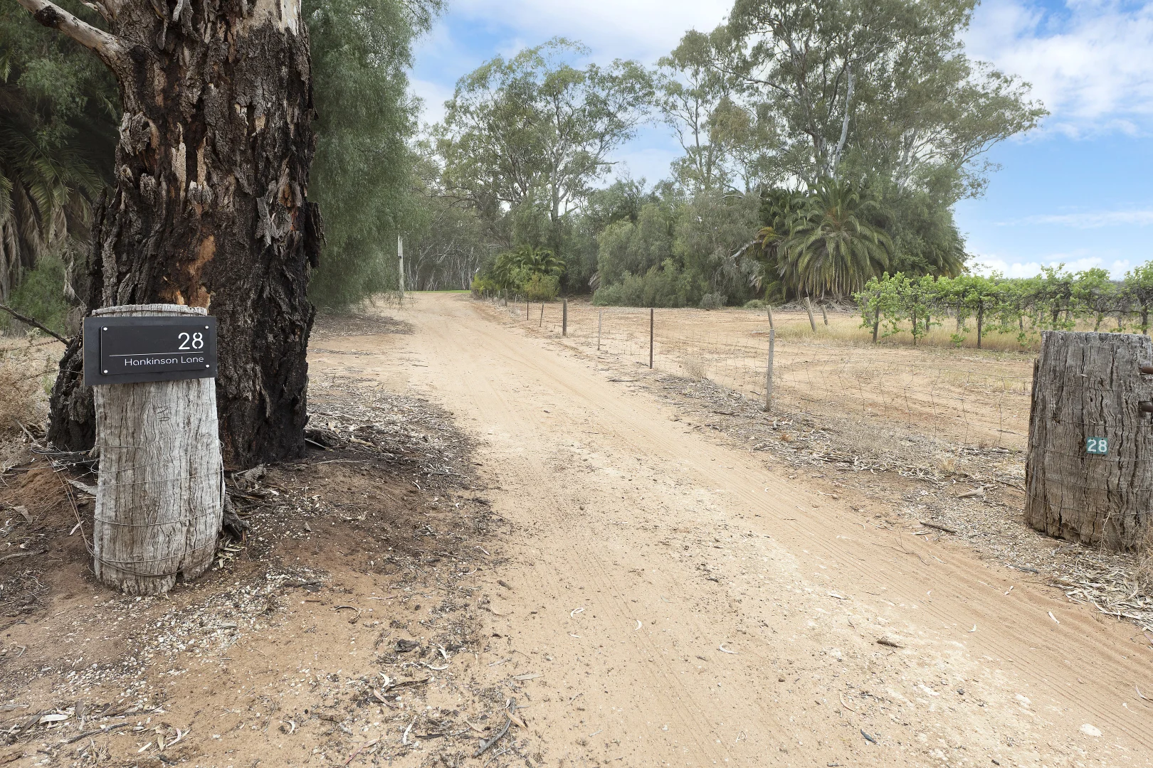 Additional image 18 of Lot A + B/28 Hankinson Lane, Piangil VIC 3597