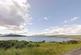 Additional image 4 of Blaran, Braetongue, Tongue IV27