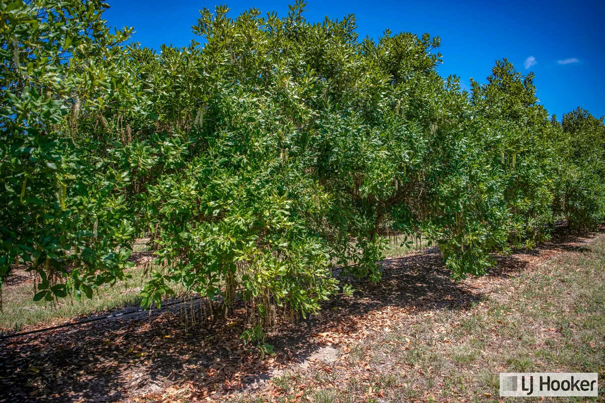 Additional image 4 of Meadowvale QLD 4670