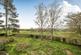 Additional image 20 of Bromyard,  Herefordshire,  HR7