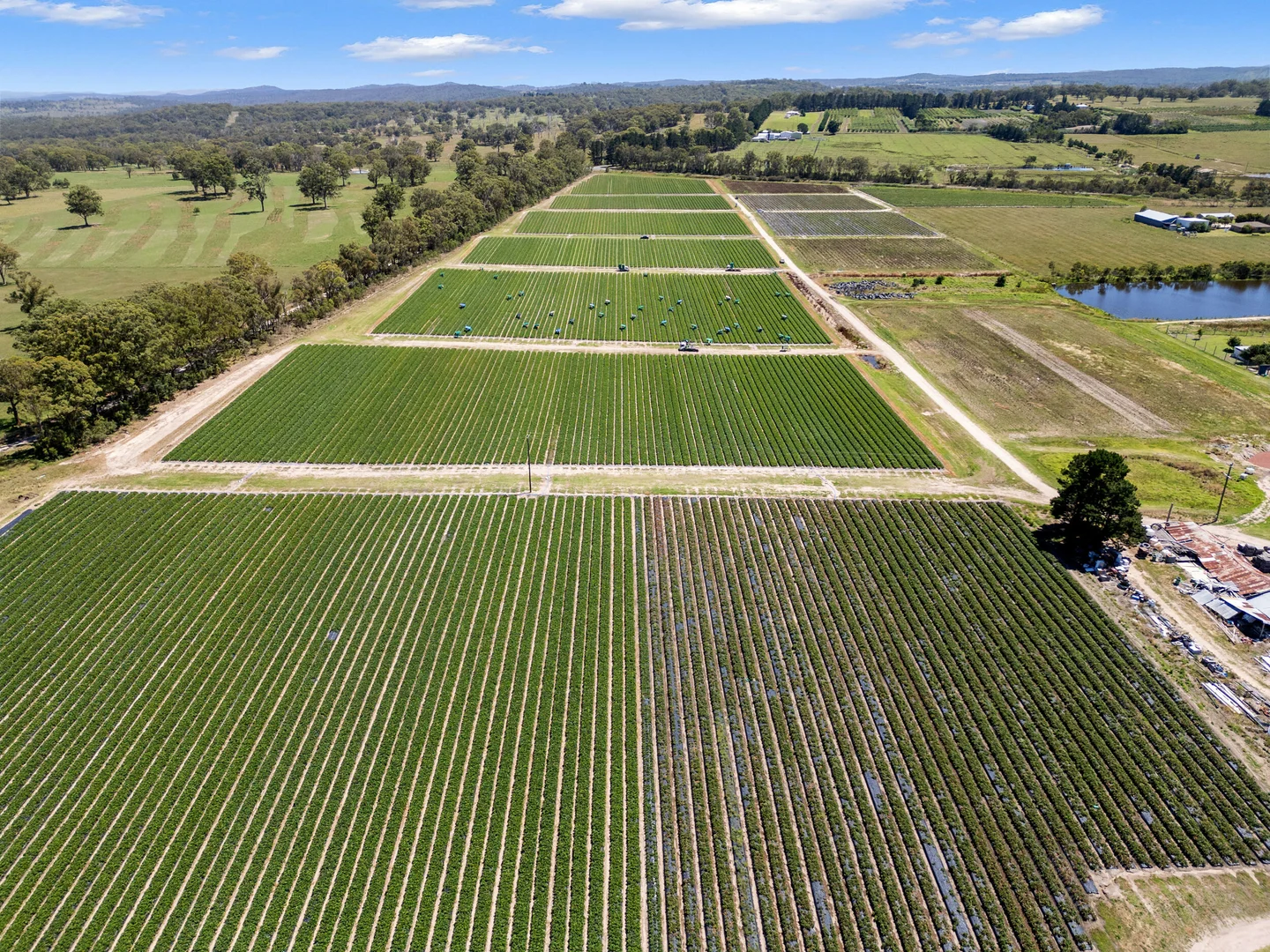 Additional image 10 of 193 Newlands Rd, Cottonvale QLD 4375