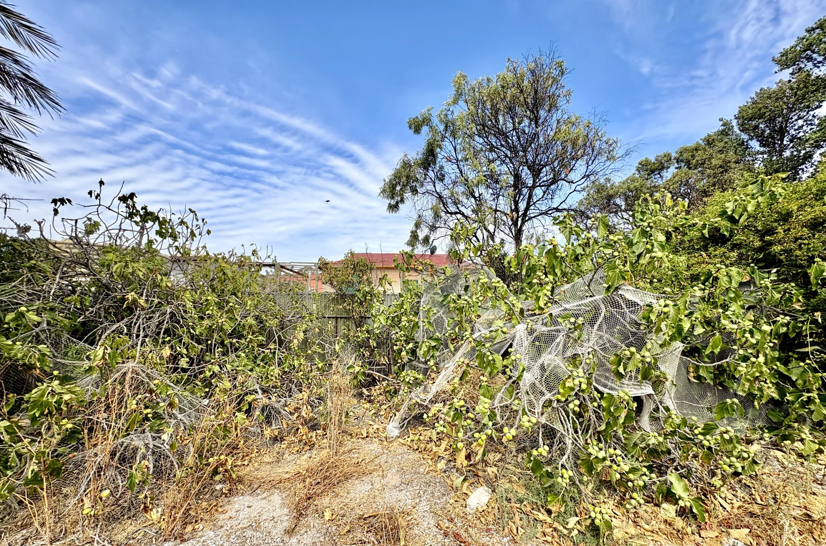 Additional image 26 of 8 Denton Street, Smoky Bay SA 5680