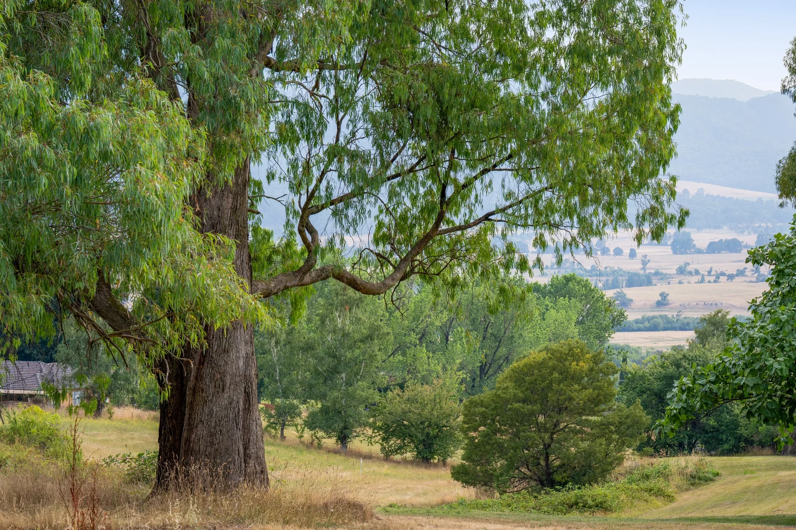 Additional image 8 of 3 Guy Court, Tawonga South VIC 3698
