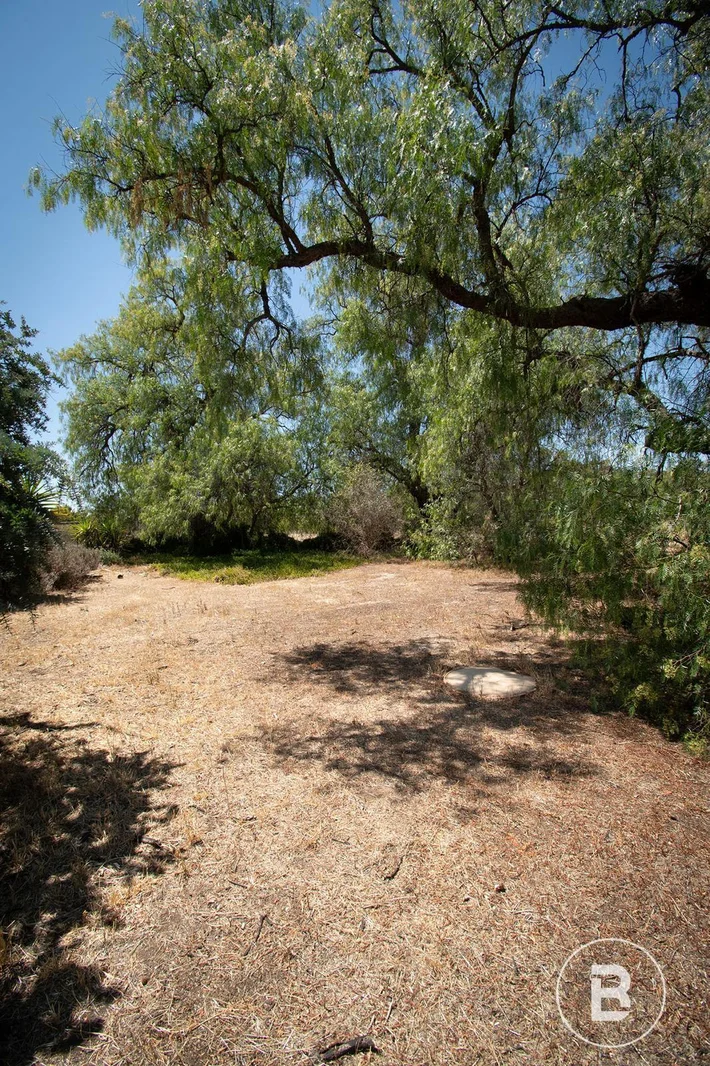 Additional image 5 of 585 Timor Road, Timor VIC 3465