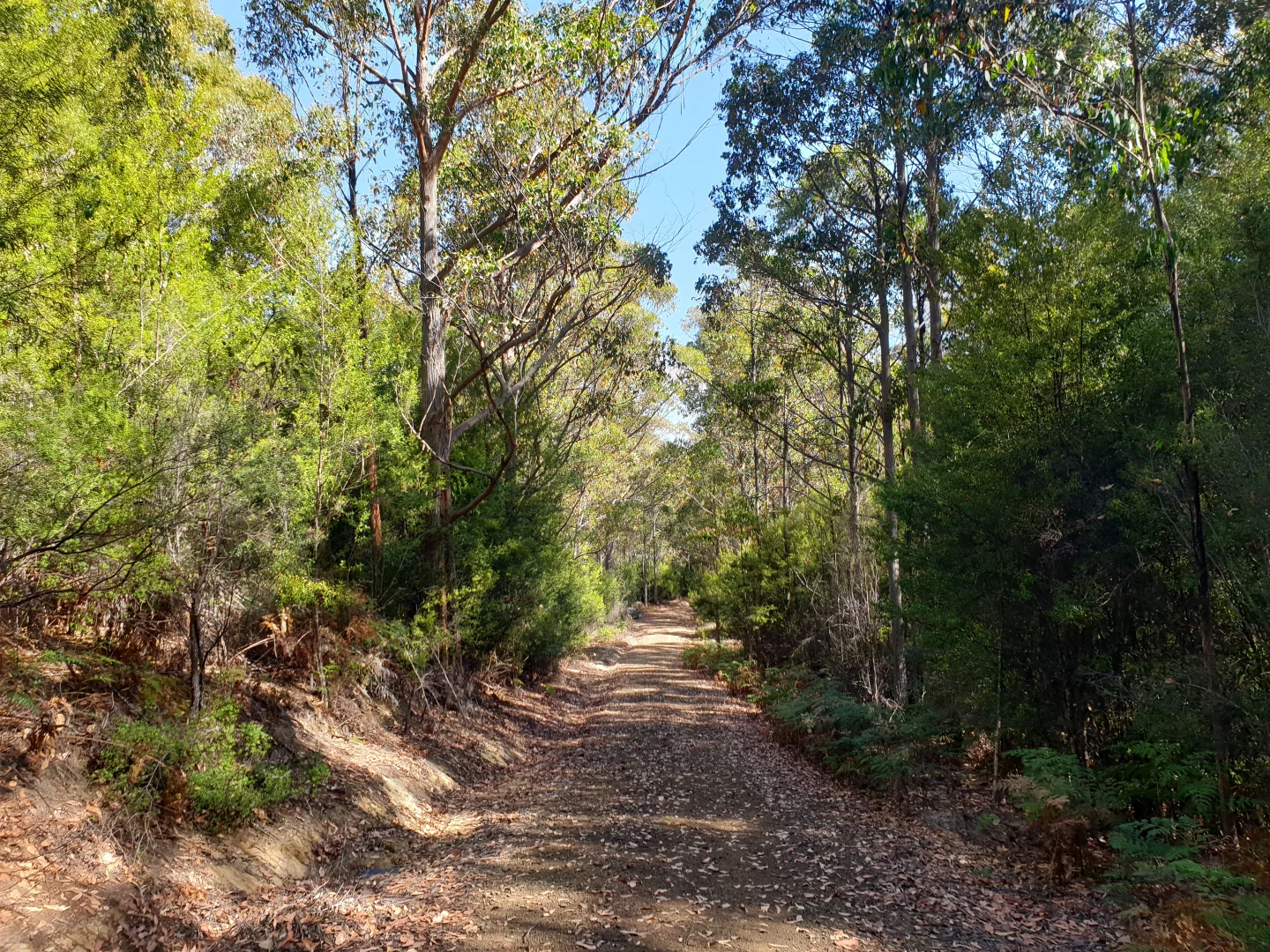 Additional image 16 of Lot 5 Liddells Road, Crabtree TAS 7109