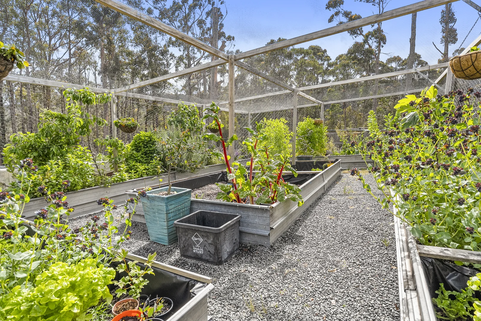 Additional image 21 of 496 Judds Creek Road, Judbury TAS 7109