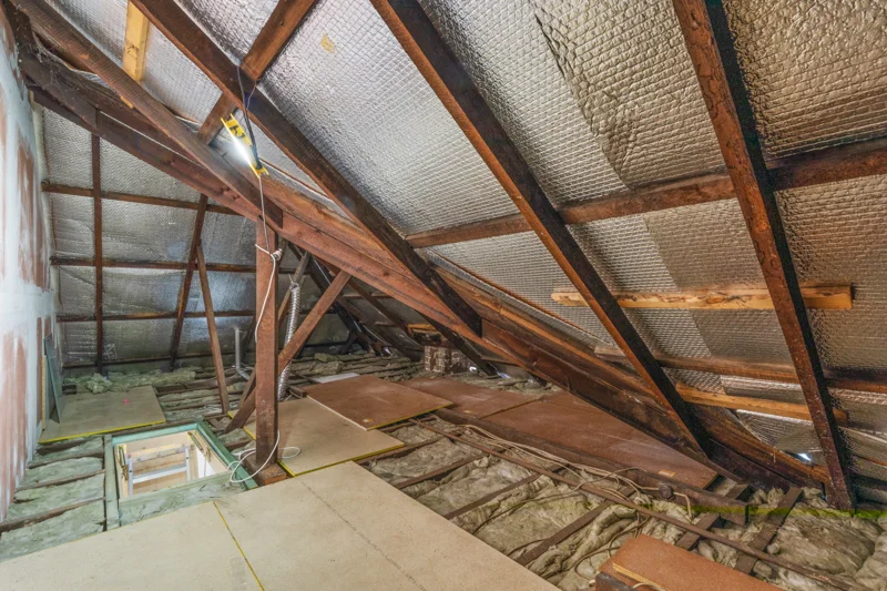 Additional image 21 of 7 Sunnyside Avenue, Lilyfield NSW 2040