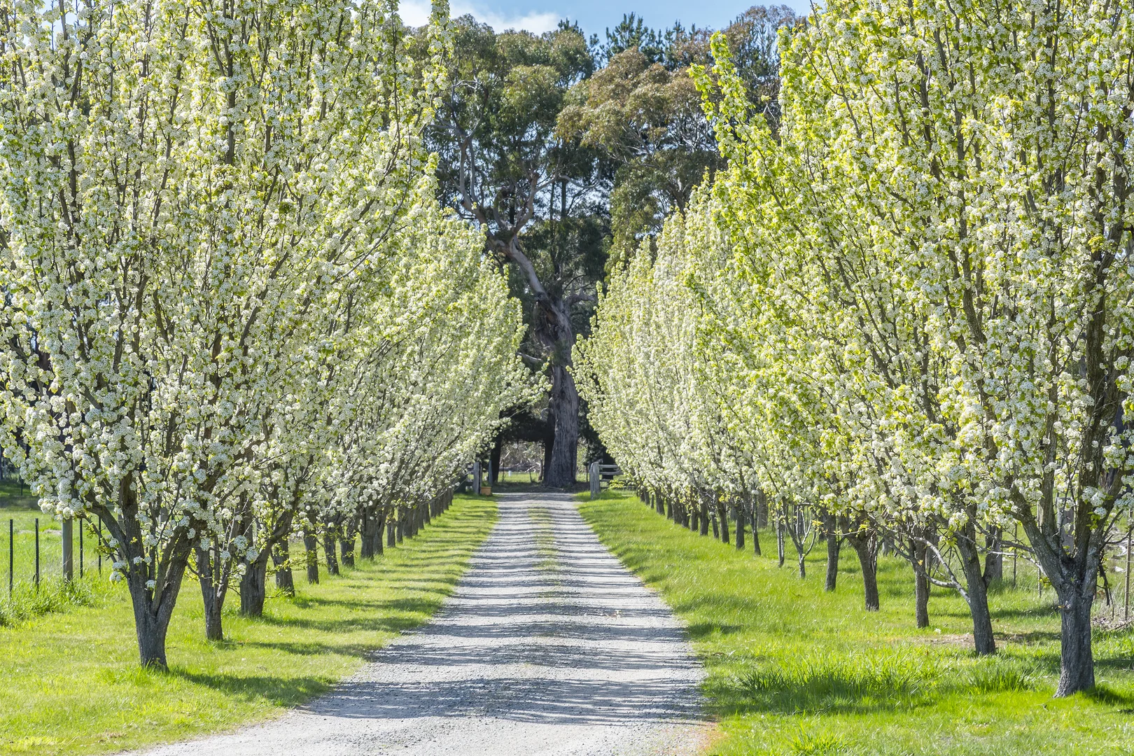 Additional image 12 of 283 Redesdale Road, Kyneton VIC 3444
